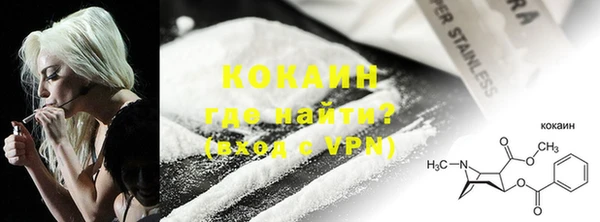 прущие грибы Инта