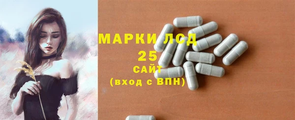 прущие грибы Инсар