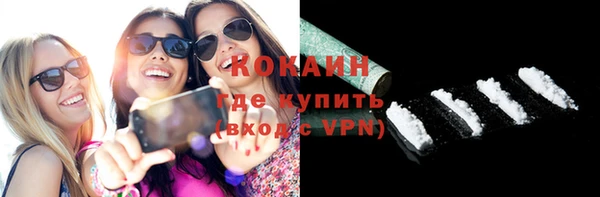 прущие грибы Инсар