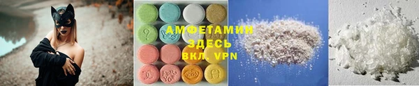 прущие грибы Инта