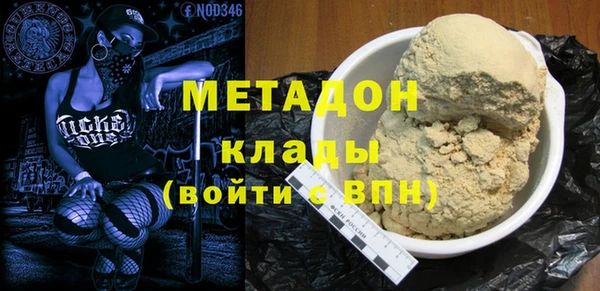 прущие грибы Инта