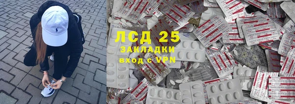 прущие грибы Инта