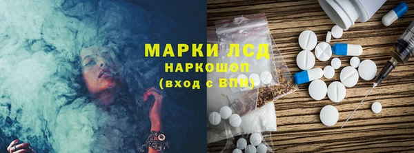 прущие грибы Инта