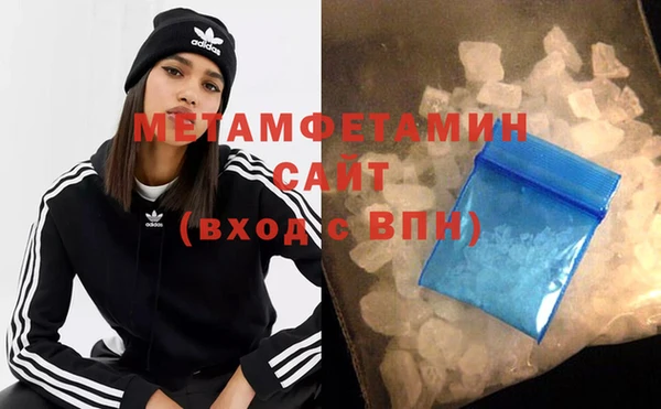 прущие грибы Инсар