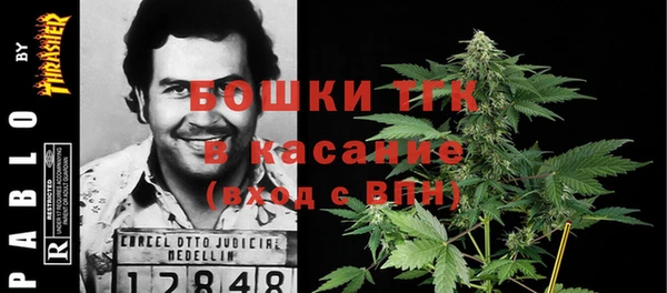 прущие грибы Инта