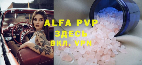 прущие грибы Инсар