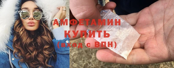 прущие грибы Инта