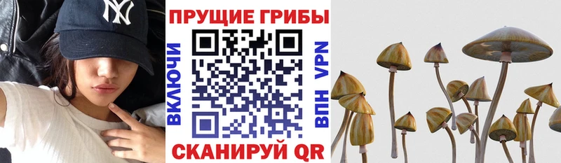 Псилоцибиновые грибы ЛСД  Купить где  Волчанск 